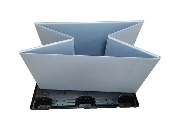 shoes box plastic storage