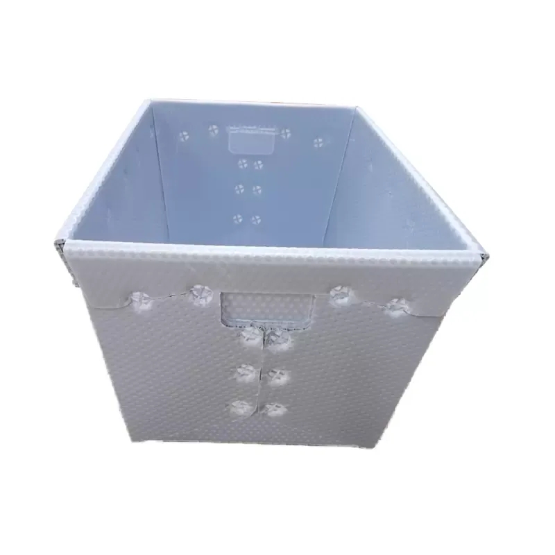 Wholesale Waterproof Foldable Customized Thickness 2-12mm PP Coroplast Plastic Carton Box Container