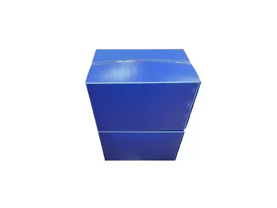 Wholesale Best Custom folding Coroplast Correx PP Hollow Corrugated Plastic Box